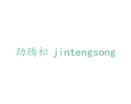 劲腾松 第25类服装鞋帽商标图样