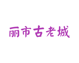 丽市古老城 第9类科学仪器商标图样