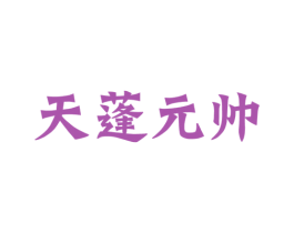 天蓬元帅 第25类服装鞋帽商标图样