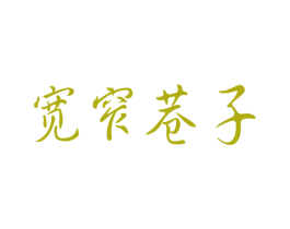 宽窄巷子 第6类五金金属商标图样