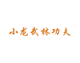 小龙武林功夫 第41类教育娱乐商标图样