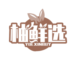 柚鲜选 YOLXINBUY 第35类广告贸易商标图样