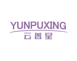 云普星 第9类科学仪器商标图样