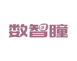 数智瞳 第42类技术服务商标图样