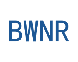 BWNR 第25类服装鞋帽商标图样
