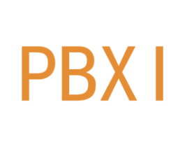 PBXI 第25类服装鞋帽商标图样