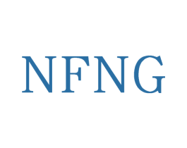 NFNG 第18类皮革箱包商标图样