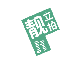 靓立拍 第9类科学仪器商标图样