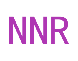 NNR 第27类地毯席垫商标图样