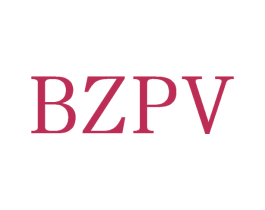 BZPV 第25类服装鞋帽商标图样
