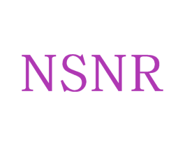 NSNR 第21类厨房洁具商标图样