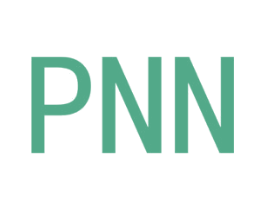 PNN 第14类珠宝钟表商标图样