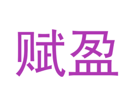 赋盈 第18类皮革箱包商标图样