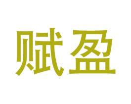 赋盈 第9类科学仪器商标图样