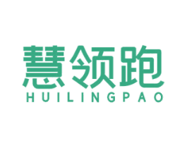 慧领跑 第41类教育娱乐商标图样