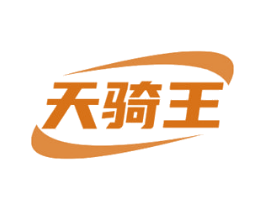 天骑王 第12类运输工具商标图样