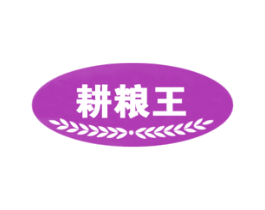 耕粮王 第30类小食配料商标图样