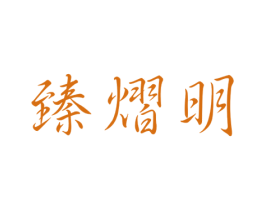 臻熠明 第9类科学仪器商标图样