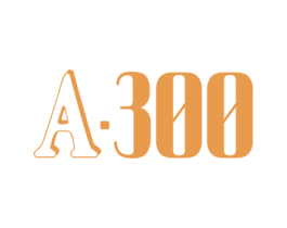 A·300 第25类服装鞋帽商标图样