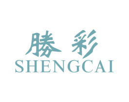 胜彩 第16类办公工具商标图样