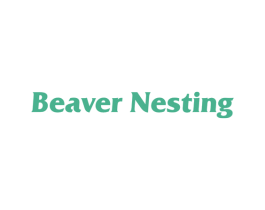 BEAVER NESTING 第35类广告贸易商标图样