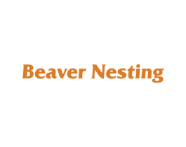 BEAVER NESTING 第27类地毯席垫商标图样