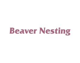 BEAVER NESTING 第20类家具商标图样