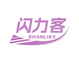 闪力客 第9类科学仪器商标图样
