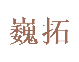 巍拓 第12类运输工具商标图样