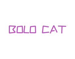 BOLO CAT 第25类服装鞋帽商标图样
