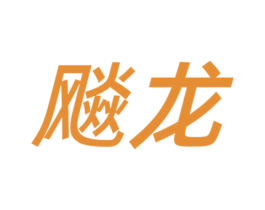 飚龙 第25类服装鞋帽商标图样