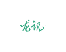 龙讯 第9类科学仪器商标图样