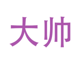 大帅 第3类化妆品商标图样