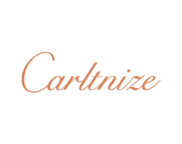 CARLTNIZE 第18类皮革箱包商标图样