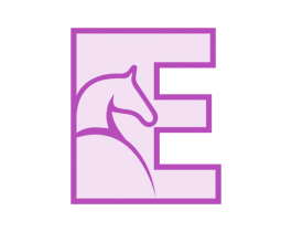 E 第25类服装鞋帽商标图样