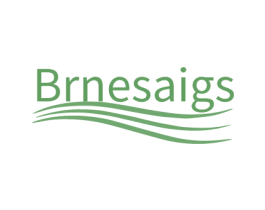 BRNESAIGS 第25类服装鞋帽商标图样
