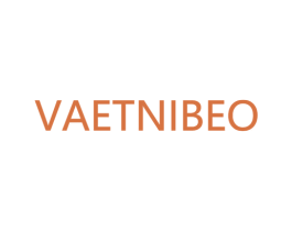 VAETNIBEO 第25类服装鞋帽商标图样