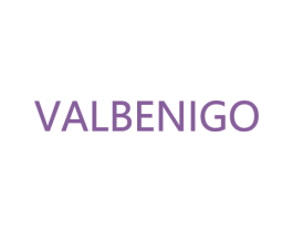VALBENIGO 第25类服装鞋帽商标图样