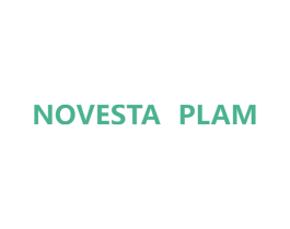 NOVESTA PLAM 第25类服装鞋帽商标图样