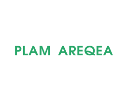PLAM AREQEA 第25类服装鞋帽商标图样