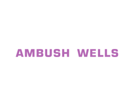AMBUSH WELLS 第25类服装鞋帽商标图样