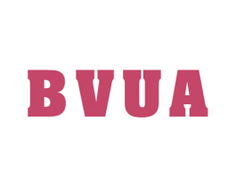 BVUA 第25类服装鞋帽商标图样