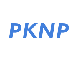 PKNP 第25类服装鞋帽商标图样