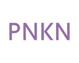 PNKN 第25类服装鞋帽商标图样