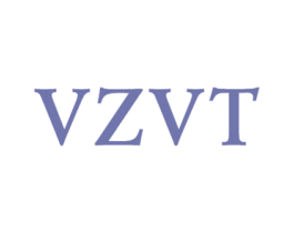 VZVT 第25类服装鞋帽商标图样