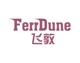 FERRDUNE 飞敦 第25类服装鞋帽商标图样