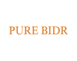PURE BIDR 第25类服装鞋帽商标图样