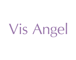 VIS ANGEL 第25类服装鞋帽商标图样