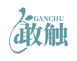 敢触 第5类医药商标图样