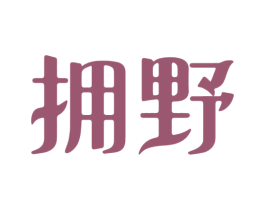 拥野 第11类家用电器商标图样